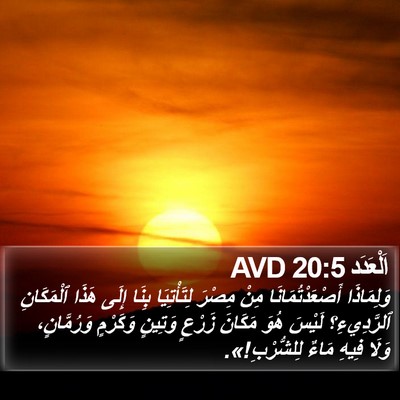 اَلْعَدَد 20:5 AVD Bible Verse Image