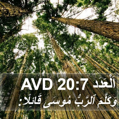 اَلْعَدَد 20:7 AVD Bible Verse Image
