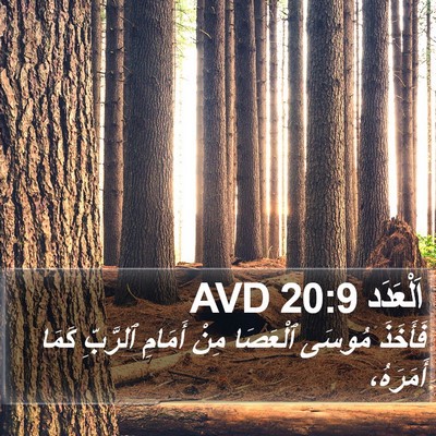 اَلْعَدَد 20:9 AVD Bible Verse Image