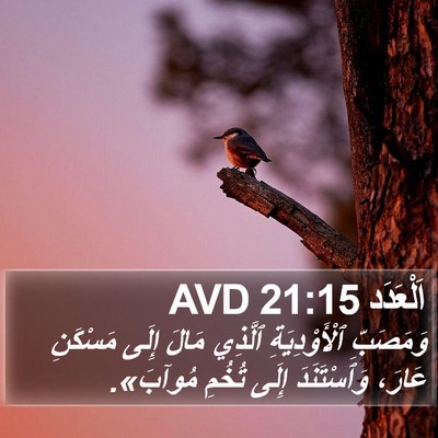 اَلْعَدَد 21:15 AVD Bible Verse Image