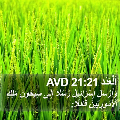 اَلْعَدَد 21:21 AVD Bible Verse Image