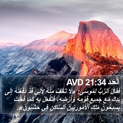 اَلْعَدَد 21:34 AVD Bible Verse Image