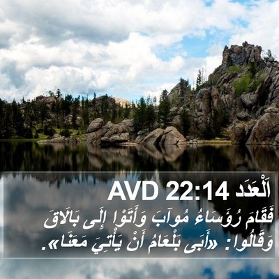 اَلْعَدَد 22:14 AVD Bible Verse Image