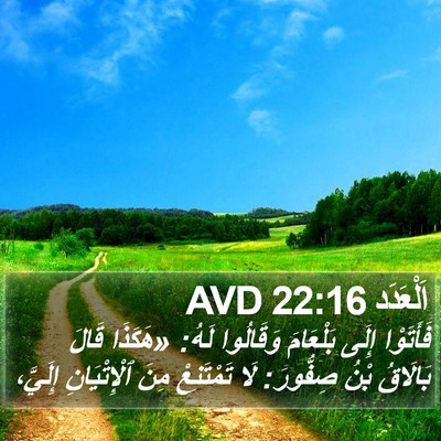 اَلْعَدَد 22:16 AVD Bible Verse Image