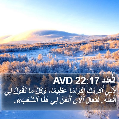 اَلْعَدَد 22:17 AVD Bible Verse Image
