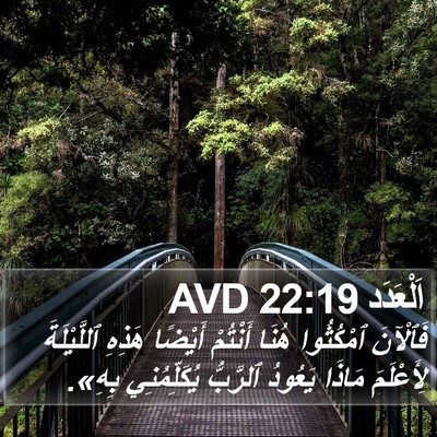 اَلْعَدَد 22:19 AVD Bible Verse Image