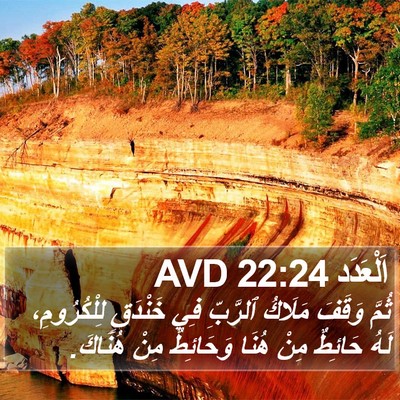 اَلْعَدَد 22:24 AVD Bible Verse Image