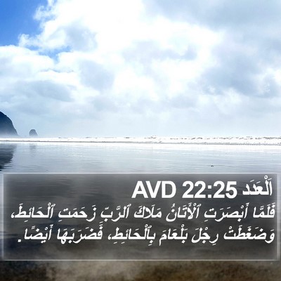 اَلْعَدَد 22:25 AVD Bible Verse Image
