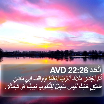 اَلْعَدَد 22:26 AVD Bible Verse Image