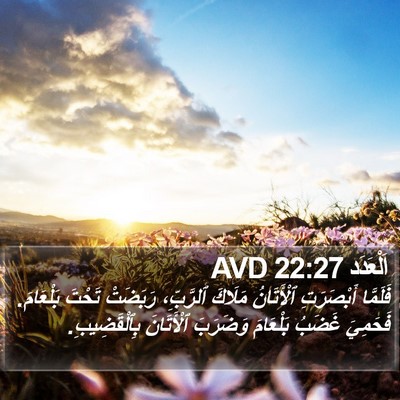 اَلْعَدَد 22:27 AVD Bible Verse Image