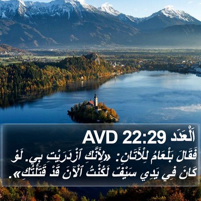 اَلْعَدَد 22:29 AVD Bible Verse Image