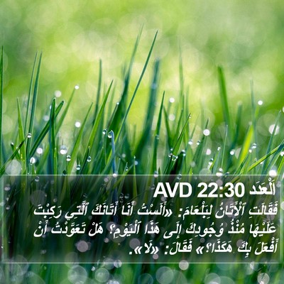 اَلْعَدَد 22:30 AVD Bible Verse Image