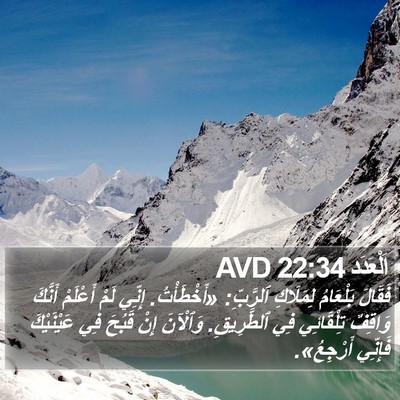اَلْعَدَد 22:34 AVD Bible Verse Image