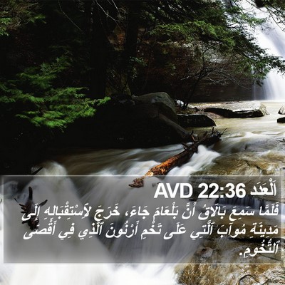 اَلْعَدَد 22:36 AVD Bible Verse Image