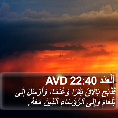 اَلْعَدَد 22:40 AVD Bible Verse Image
