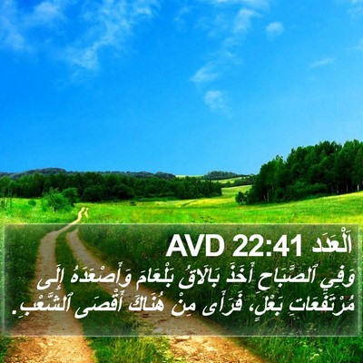 اَلْعَدَد 22:41 AVD Bible Verse Image