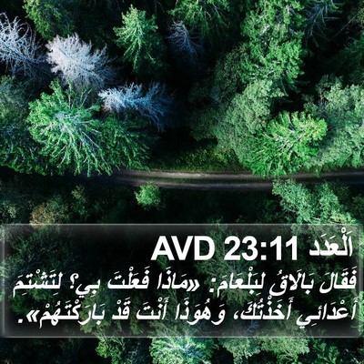 اَلْعَدَد 23:11 AVD Bible Verse Image