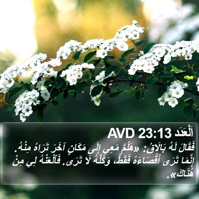 اَلْعَدَد 23:13 AVD Bible Verse Image