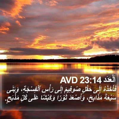 اَلْعَدَد 23:14 AVD Bible Verse Image