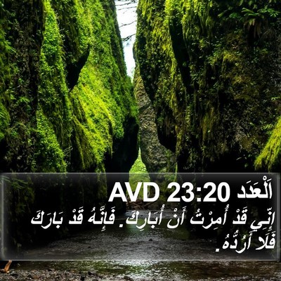 اَلْعَدَد 23:20 AVD Bible Verse Image