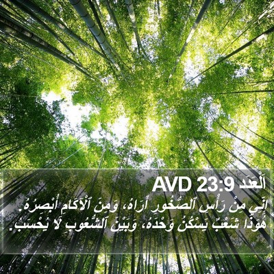 اَلْعَدَد 23:9 AVD Bible Verse Image