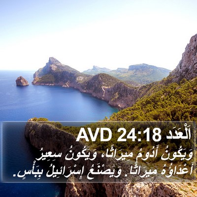 اَلْعَدَد 24:18 AVD Bible Verse Image