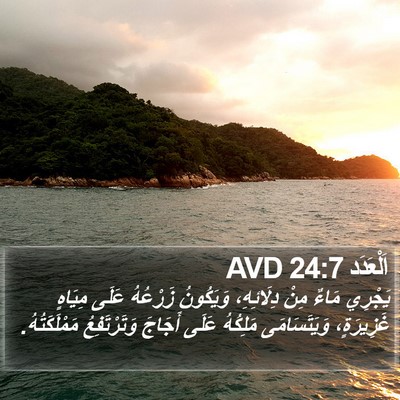 اَلْعَدَد 24:7 AVD Bible Verse Image