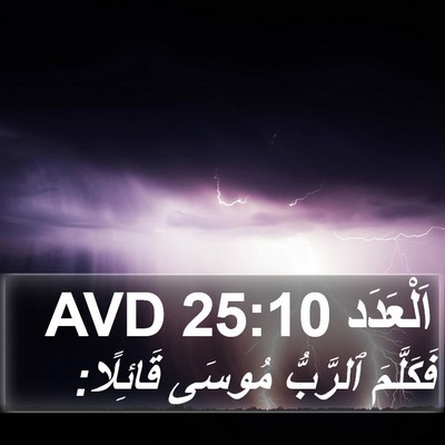 اَلْعَدَد 25:10 AVD Bible Verse Image