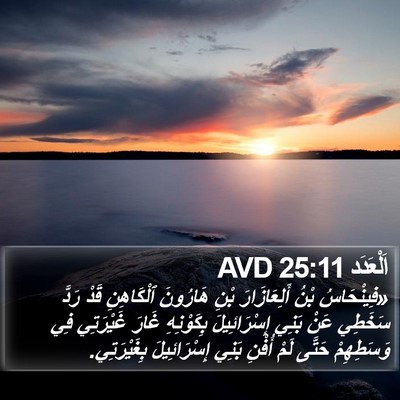 اَلْعَدَد 25:11 AVD Bible Verse Image