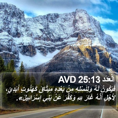اَلْعَدَد 25:13 AVD Bible Verse Image
