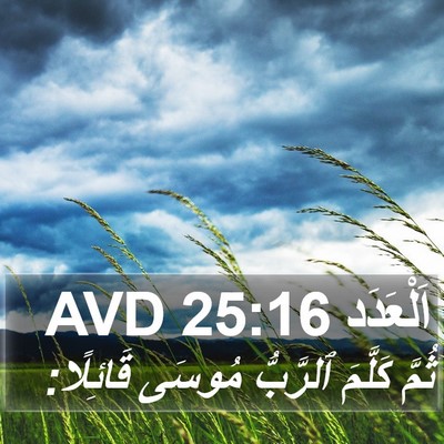 اَلْعَدَد 25:16 AVD Bible Verse Image