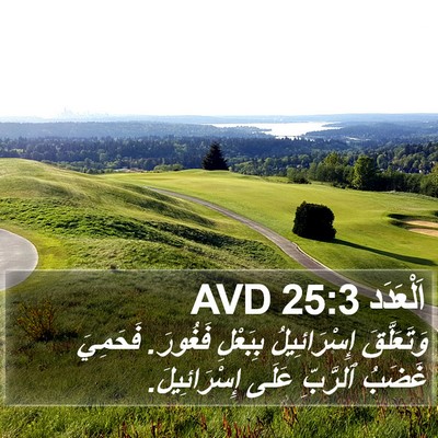 اَلْعَدَد 25:3 AVD Bible Verse Image