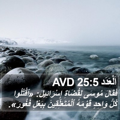 اَلْعَدَد 25:5 AVD Bible Verse Image