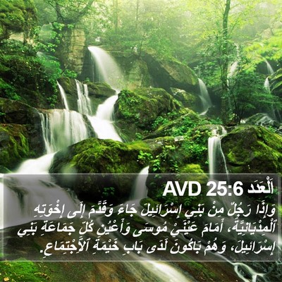 اَلْعَدَد 25:6 AVD Bible Verse Image
