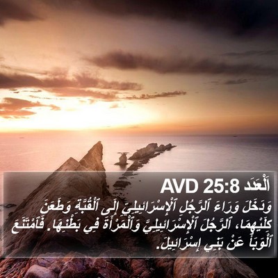 اَلْعَدَد 25:8 AVD Bible Verse Image