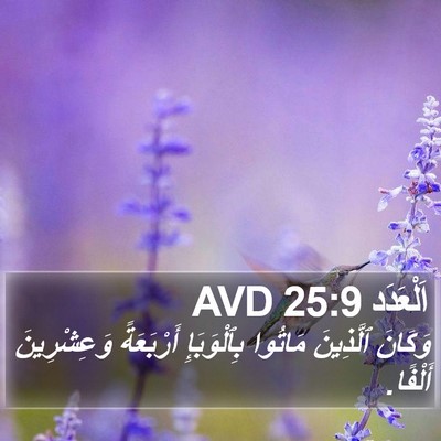 اَلْعَدَد 25:9 AVD Bible Verse Image