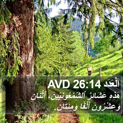 اَلْعَدَد 26:14 AVD Bible Verse Image