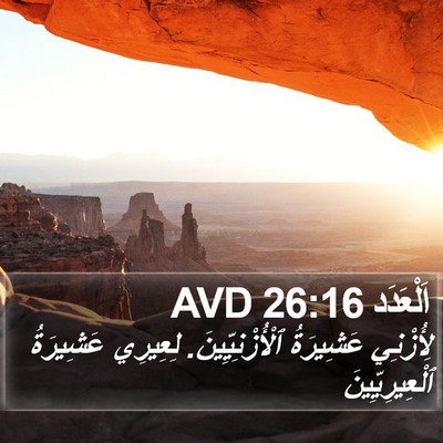 اَلْعَدَد 26:16 AVD Bible Verse Image