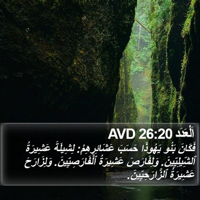 اَلْعَدَد 26:20 AVD Bible Verse Image
