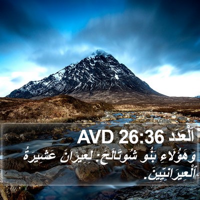 اَلْعَدَد 26:36 AVD Bible Verse Image