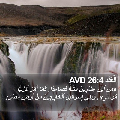 اَلْعَدَد 26:4 AVD Bible Verse Image