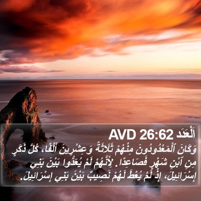اَلْعَدَد 26:62 AVD Bible Verse Image
