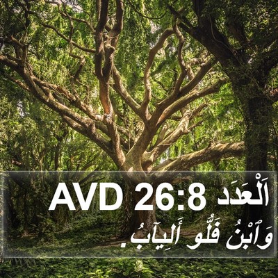 اَلْعَدَد 26:8 AVD Bible Verse Image