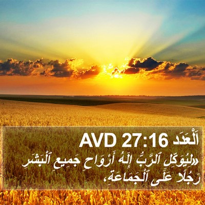 اَلْعَدَد 27:16 AVD Bible Verse Image
