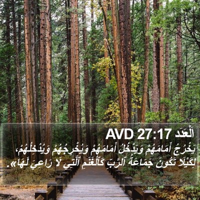 اَلْعَدَد 27:17 AVD Bible Verse Image