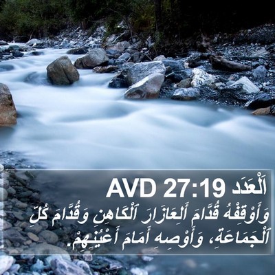 اَلْعَدَد 27:19 AVD Bible Verse Image