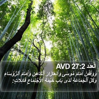 اَلْعَدَد 27:2 AVD Bible Verse Image