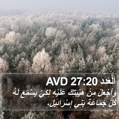 اَلْعَدَد 27:20 AVD Bible Verse Image