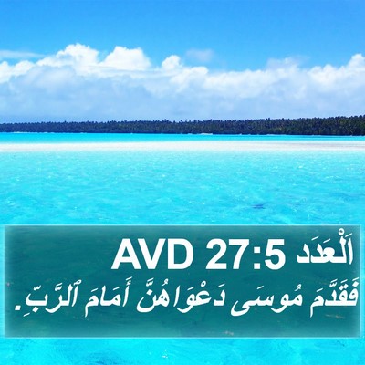 اَلْعَدَد 27:5 AVD Bible Verse Image