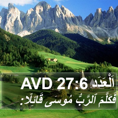 اَلْعَدَد 27:6 AVD Bible Verse Image